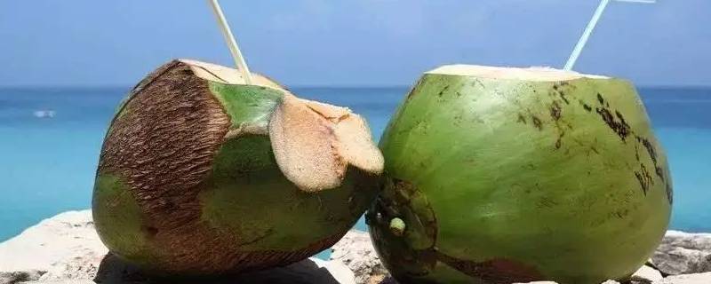 椰子能放冰箱冷藏几天（新鲜的椰子放冰箱能保存几天?）