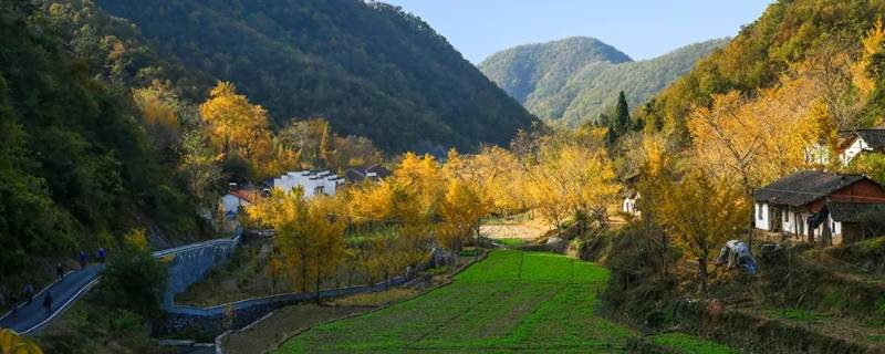 钱冲村是哪个省市 蒋冲村属于哪个镇