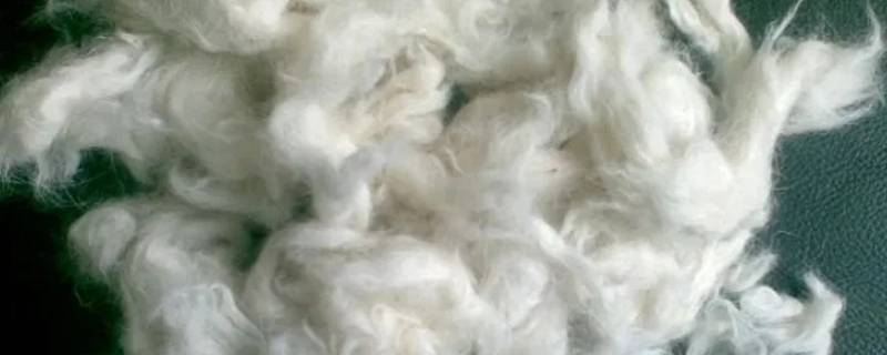 羊毛的主要成分 羊毛的主要成分是纤维素吗