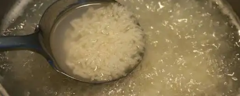 高压锅煮粥水和米的比例是多少（用高压锅煮粥米和水的比例）