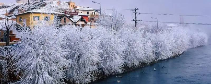 土耳其有冬天吗（土耳其的冬天很冷吗）