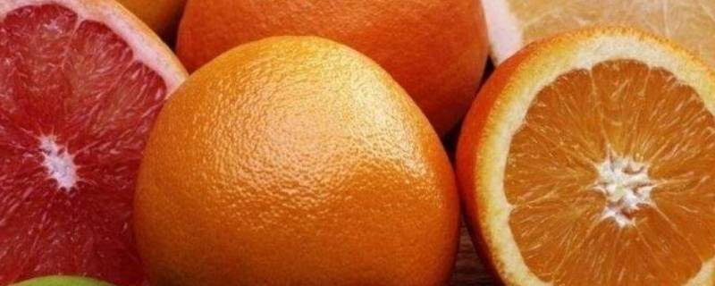 橘子橙子的区别 橘子与橙子有何区别