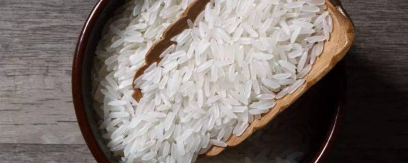 油粘米是什么米 油粘米是什么米种