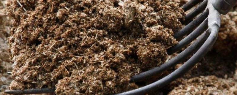 茶籽饼做肥料要怎么发酵（茶籽壳怎么发酵做肥料）