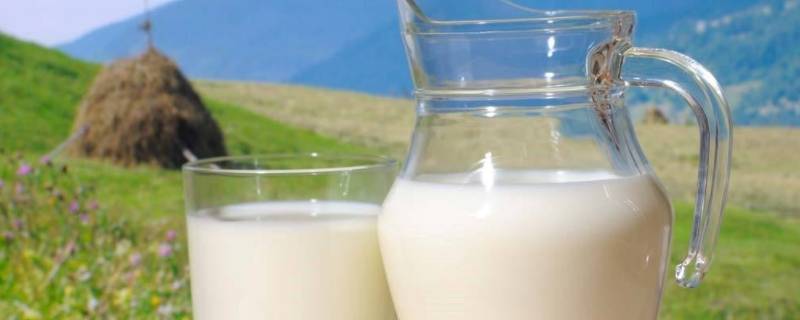 如何区别鲜牛奶和含乳饮料（饮用奶和纯牛奶有什么区别）