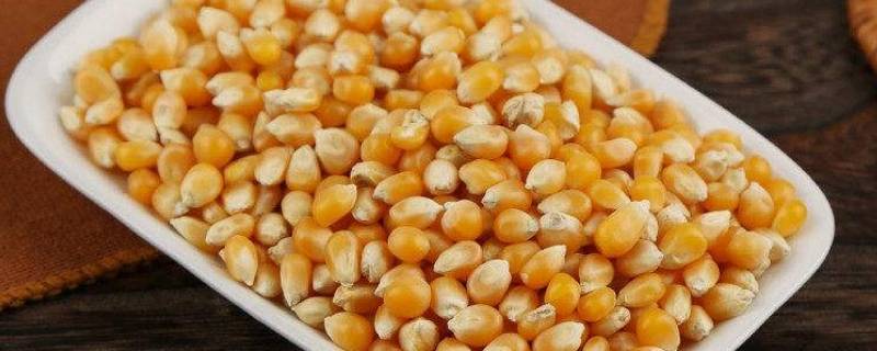 爆米花的玉米粒与普通玉米粒有什么区别