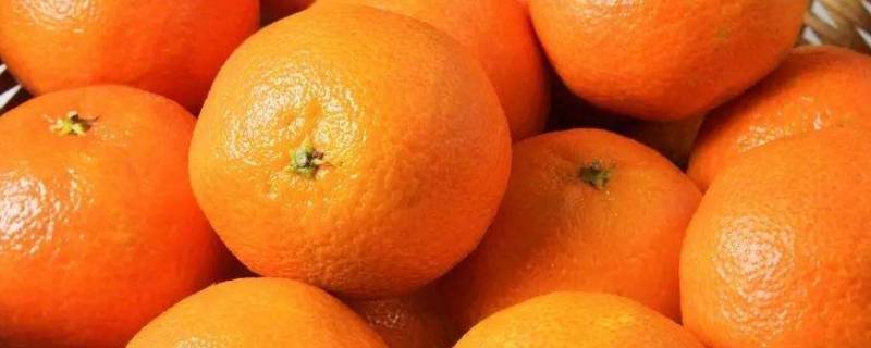 橘子顶部叫什么桔蒂（橘子的果蒂是什么）