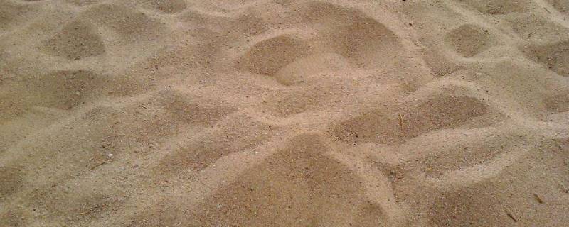 干燥的细沙的密度（干燥的细沙的密度为）