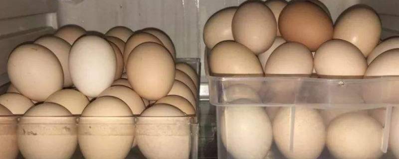 鸡蛋在冷藏室为什么会冻裂 鸡蛋冻在冷藏里面为什么会裂开来