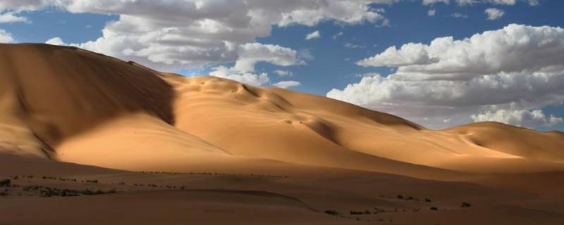 沙漠大约覆盖地球表面的几分之几（沙漠大约覆盖地球表面的几分之几英文）