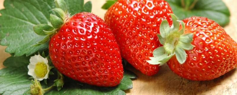 草莓是什么味道 草莓是什么味道,是什么样子