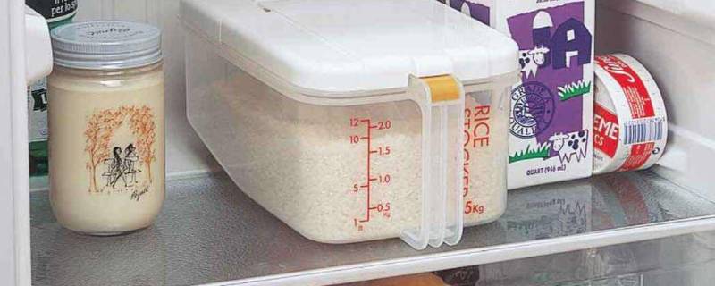 米可以放冰箱里保鲜吗（夏天米可以放冰箱里保鲜吗）