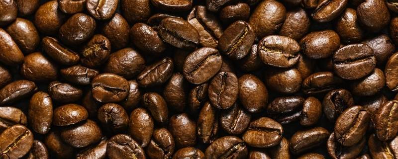 咖啡豆是不是豆 咖啡豆是不是豆类