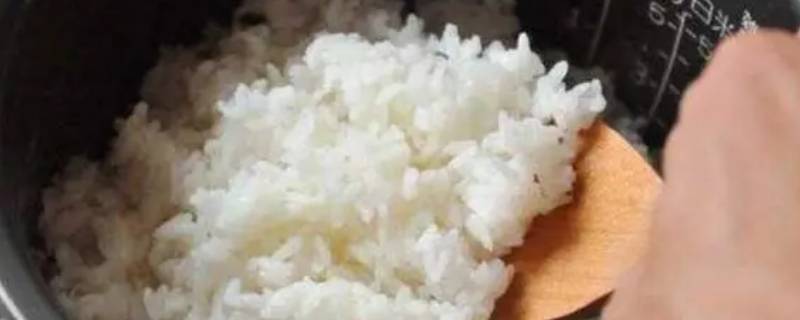 米饭二次加热放多少水 电饭煲二次加热米饭放多少水
