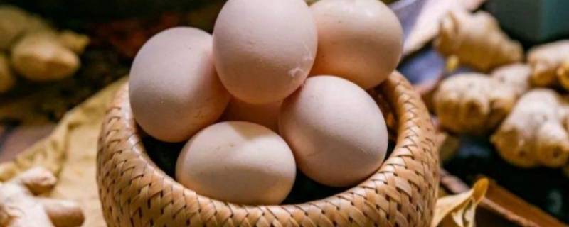 有精蛋和无精蛋的区分方法 鸡蛋无精蛋和有精蛋的区别