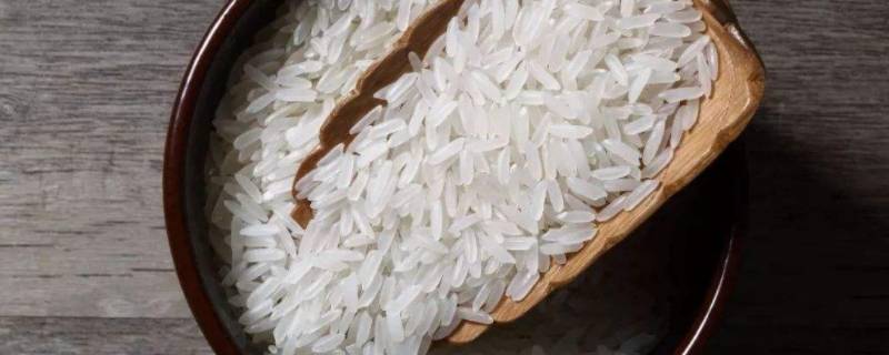 为何密封的米也会长虫子 为何密封的米也会长虫子 蚂蚁庄园
