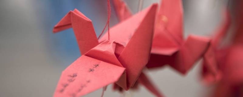 送千纸鹤的寓意是什么 送千纸鹤意味着什么