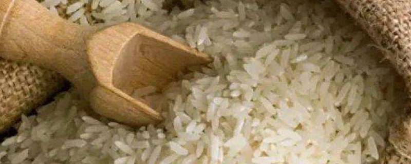 大米怎样挑选质量好的米（大米怎么挑选,什么米口感好）