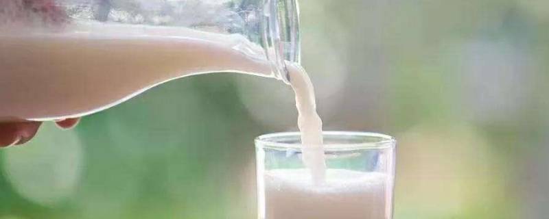 浓牛奶和纯牛奶有什么区别 蒙牛浓牛奶和纯牛奶有什么区别
