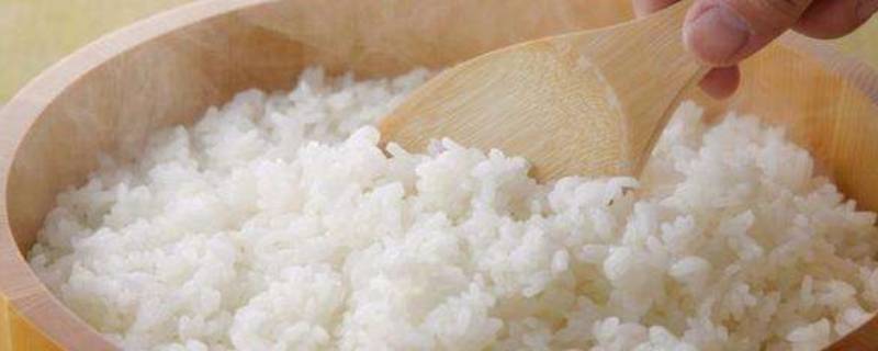 剩米饭怎么保存 剩米饭怎么保存不变馊