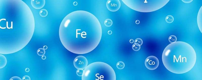 宏量元素是指 宏量元素是指碳水化合物