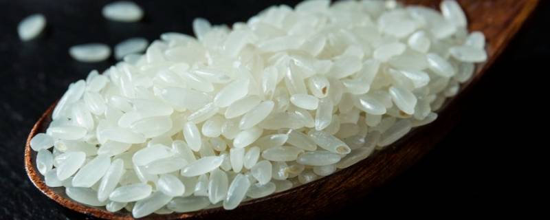 米是植物中的哪一部分 米是植物中的哪一个部分