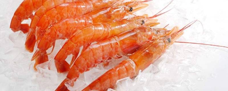 冷冻的红虾是熟的吗（红色冻虾是熟的吗）
