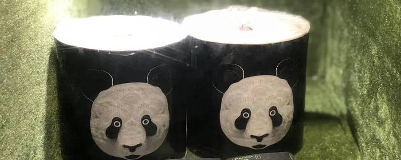 熊猫屎可以用来造纸吗 熊猫粪便为什么可以造纸