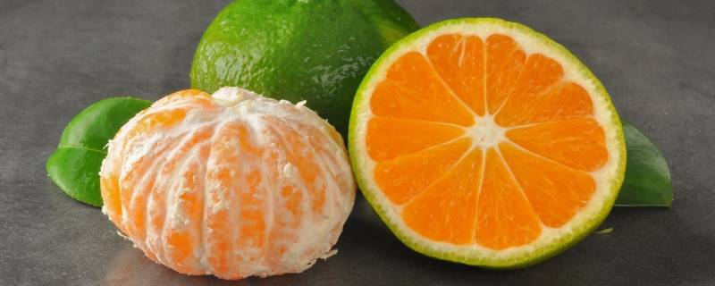 橘子有哪些 柑橘品种