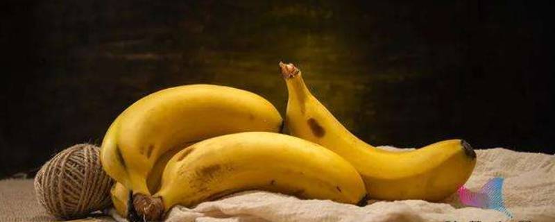 香蕉过年有什么寓意 香蕉的吉祥寓意是什么