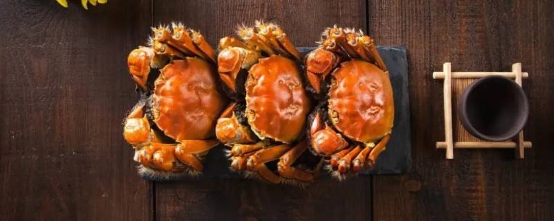 螃蟹吃啥 螃蟹吃啥东西