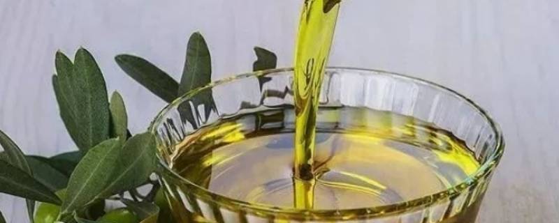 橄榄油的保质期一般是几年 橄榄油一般的保质期多少年