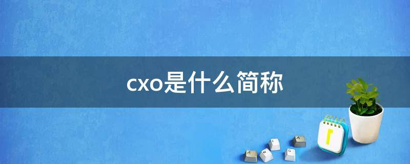cxo是什么简称（cxo是什么的缩写）