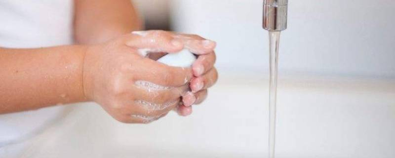 洗手与卫生手消毒应遵循的原则（洗手与卫生手消毒应遵循的原则是）