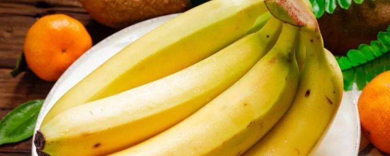 生香蕉放着会自己熟吗 香蕉就这样放着会自己熟吗