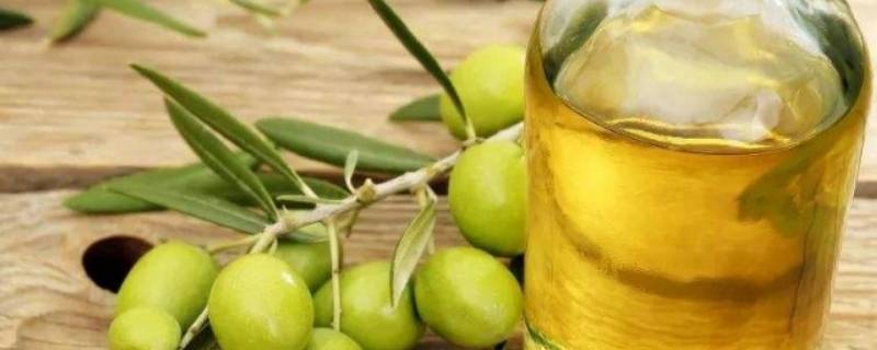 初榨橄榄油和精炼橄榄油的区别（初榨橄榄油和精炼橄榄油的区别 牛排）