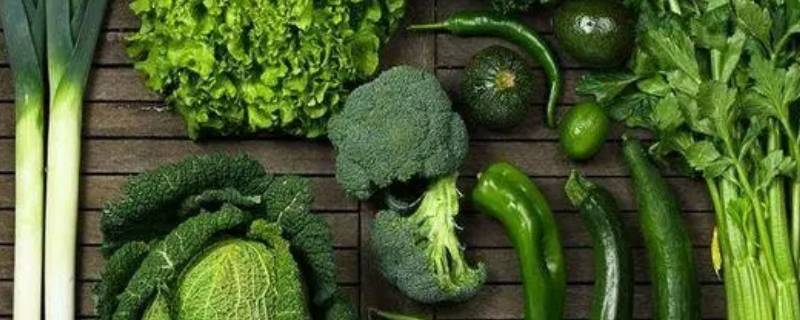深绿色蔬菜都有哪些 深色绿色蔬菜有哪些