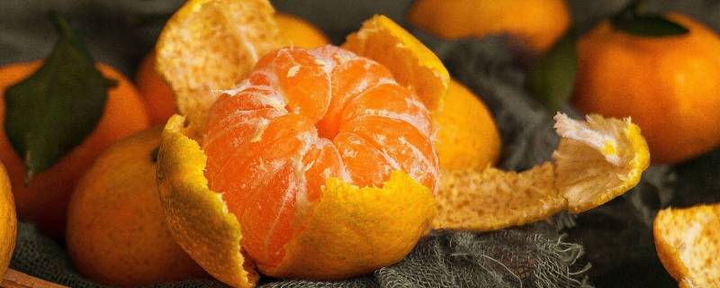橘子产地主要在哪个省（产橘子的省份）