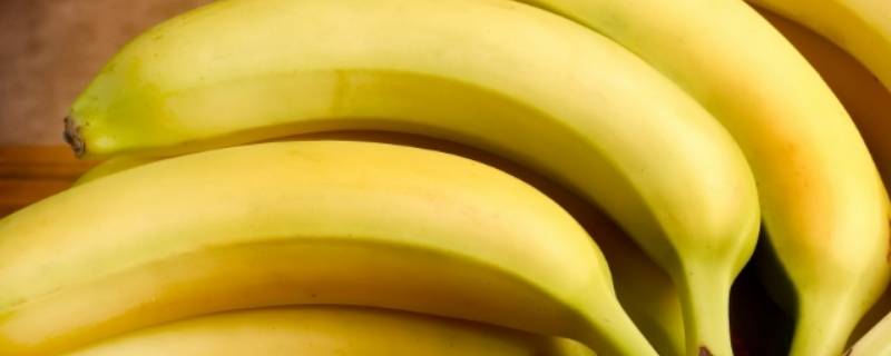 香蕉的寓意是什么意思（女人送男人香蕉的寓意是什么意思）
