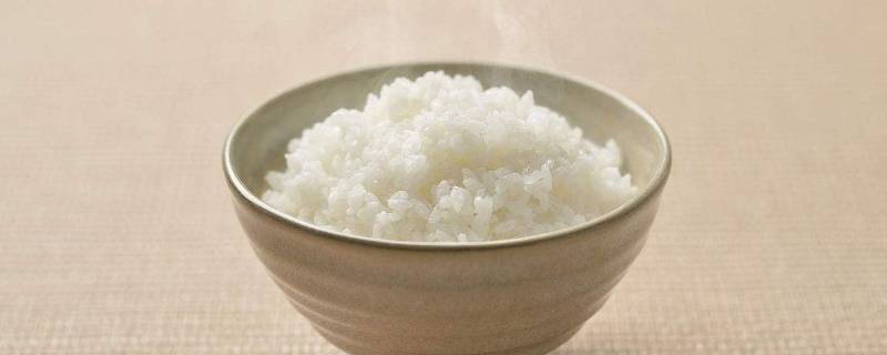 蒸米饭水过几个指节 蒸米饭水超过指节