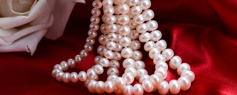马贝珠和珍珠的区别 马贝珍珠是珍珠吗