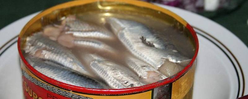 鲱鱼罐头什么臭味 鲱鱼罐头到底臭不臭
