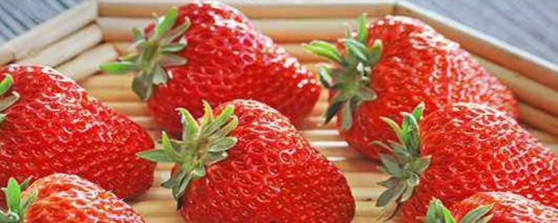 十二月份可以摘草莓吗 十二月份可以摘草莓吗反季节草莓多少一斤
