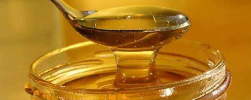 白蜂蜜和黄蜂蜜有啥区别 白蜂蜜好还是黄蜂蜜好
