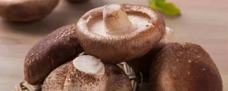 蘑菇煮几分钟熟啊 蘑菇多少分钟煮熟