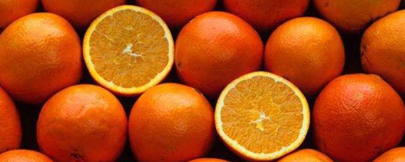 到底是橘子还是桔子（桔子和橘子区别是啥）