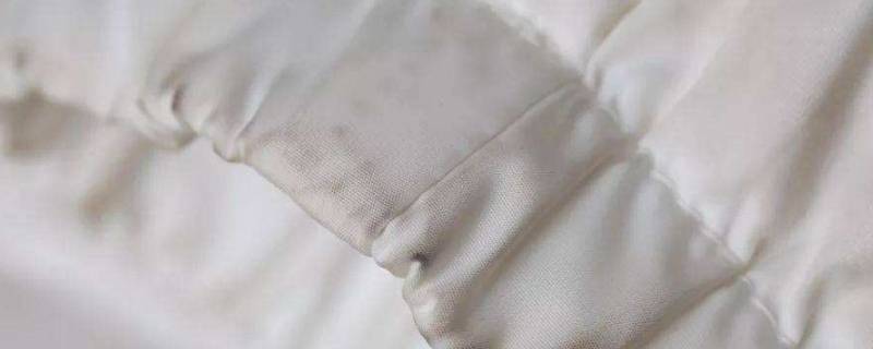 棉袄上的顽固污渍怎么洗掉 棉袄上的顽固污渍怎么去除