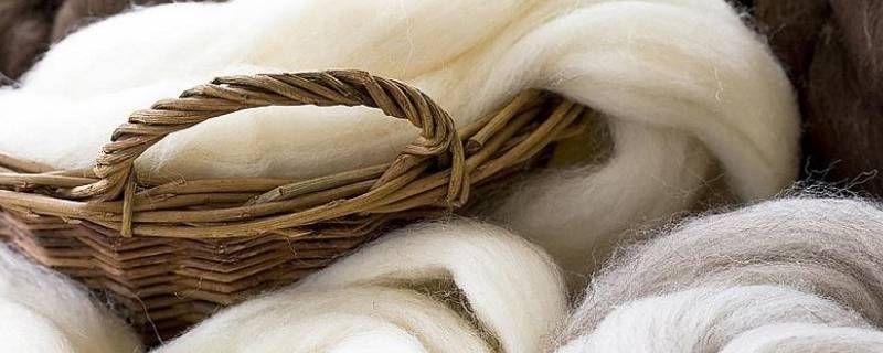 羊绒的保暖程度是羊毛的多少倍 羊绒的保暖程度是羊毛的多少倍光与夜