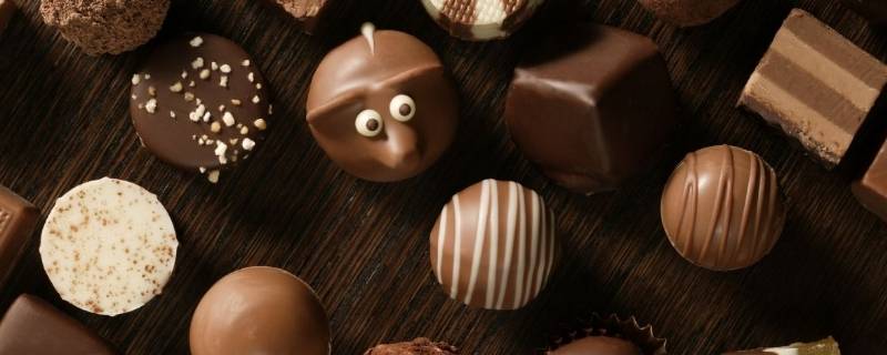 巧克力和可可的区别（可乐和巧克力的区别）