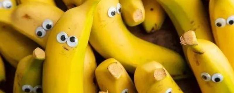香蕉的品种 香蕉的品种有哪些品种的图片
